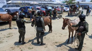 Decomiso de carretas haladas por caballos [upl. by Keffer]