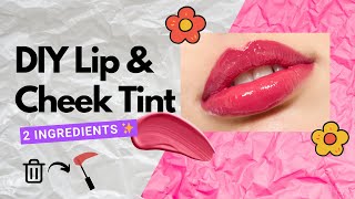 DIY Lip amp Cheek Tint with just 2 Ingredients in 2 mins😍❤️ liptint cheektint lipandcheektint diy [upl. by Asenab]