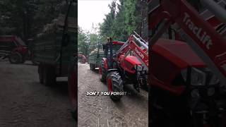 Zetor Proxima GP 110 💥 Vozenie palivového dreva 📸 ytshorts2024reelshortfilmforestfarming [upl. by Eeral25]