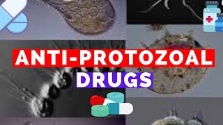 Antiprotozoal Drugs  Metronidazole Bactrim Suramin Pentamidine Eflornithine Fansidar [upl. by Kalbli]