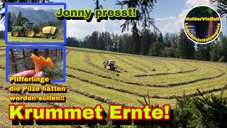 Heu Ernte 2024  2Schnitt  Hornissennest gefunden  Pfifferlinge im Spätsommer  John Deere  Lely [upl. by Melville]