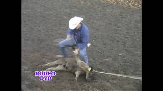 CALF ROPING rodeoeventscom [upl. by Valerian]