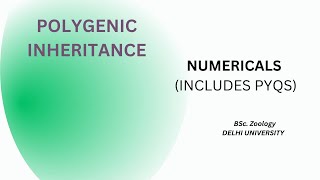 NUMERICALS OF POLYGENIC INHERITANCE  PYQs DU  BSc ZOOLOGY [upl. by Atalee]