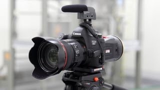 Canon EOS 6D Video Test [upl. by Mamie273]