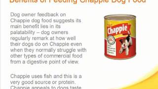 Chappie Dog Food Review [upl. by Kilar]