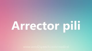 Arrector pili  Medical Meaning [upl. by Imehon]