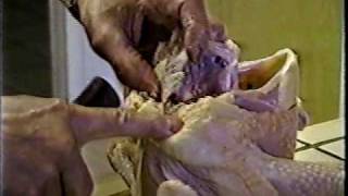 Deboning a whole chicken Part 1 of 4 [upl. by Geof]