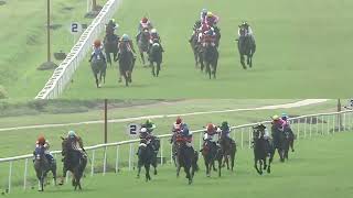 THE GREY GERANIUM with A R Pradeep up wins The Royal Calcutta Turf Club Trophy Div2 2024 RACE 97 [upl. by Dawson]