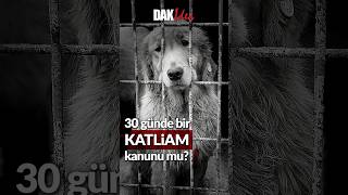 Katliam Yasasına quotDURquot De Adalet köpek [upl. by Ssej598]