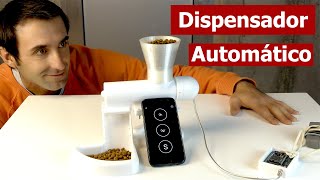 Dispensador Automático para Mascotas Dispensador de comida casero  food dispenser [upl. by Ienttirb482]