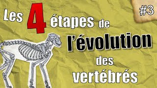 PaléoJ 3  les 4 étapes de lévolution des Vertébrés [upl. by Natsreik]