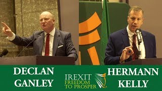 Declan Ganley vs Hermann Kelly  Debate on Irexit and the EU Full Cut [upl. by Illil]