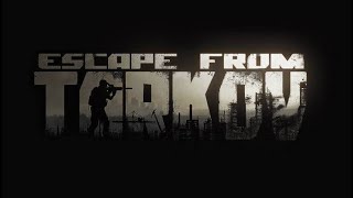 【EFT】初心者目指せフリマ解放 Escape from Tarkov [upl. by Margret824]