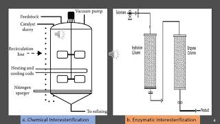 Chemical Interesterification and Enzymatic Interesterification [upl. by Ruffo589]