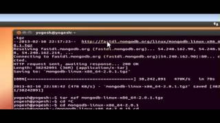 Install MongoDB on Ubuntu [upl. by Matthei]