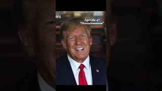 End homelessness agenda47 america usa trump politics [upl. by Anires]