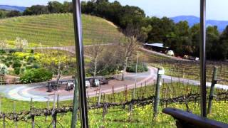 Benzinger Winery Tram Tour [upl. by Kitrak736]