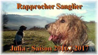 Rapprocher Sanglier  Julia  Saison 2016  2017 [upl. by Ardnoed616]