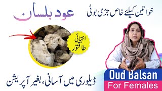 Oud balsan عود بلسان  Benefits of Roghan Balsan  Normal Delivery ke liye kya karna chahiye [upl. by Sirref]