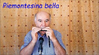 Piemontesina bella 1V Valzer Harmonica [upl. by Enilav]