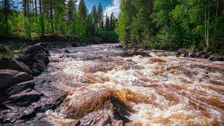 Allein Wandern in NordSchweden 2024 Teil 3 [upl. by Airol184]