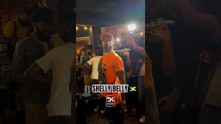 ⛓️SHELLY BELLY at it again last night at Weddy Weddy 🇯🇲😅 dancehall shellybelly weddyweddy [upl. by Bois332]