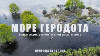 Такую Беларусь вы не видели Припять в период большого разлива Сплав на байдарках к морю Геродота [upl. by Nepsa]