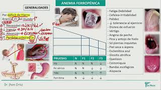 Hematología  Serie roja anemia ferropenica anemia megaloblastica anemia por enfermedad cronica [upl. by Hammerskjold23]