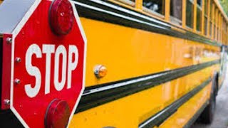 8yearold fatally struck by car while boarding Henry County school bus state patrol says [upl. by Eph474]