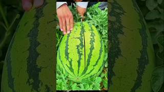 The Art of Watermelon Cutting A Masterclass [upl. by Notanhoj]