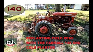 REPLANTING FIELD PEAS WITH THE FARMALL 140 AND COLE PLANTER [upl. by Nnylcaj437]