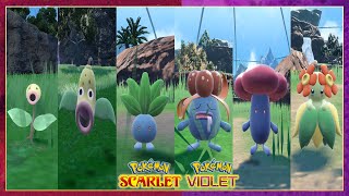 Pokemon Scarlet amp Violet BellsproutWeepinbellOddishGloomVileplume amp Bellossom Locations [upl. by Nil511]