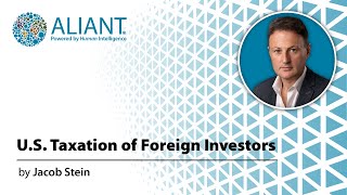 US Taxation of Foreign Investors [upl. by Anan]