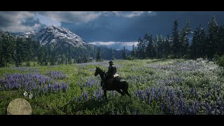 Stunning Scenery of Big Valley  Beauty of Red Dead Redemption 2 [upl. by Hutchison]