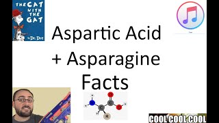 Some Quick Facts About Aspartic Acid and Asparagine [upl. by Enirehtacyram607]