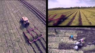 Kontakt TV  Horodynsky Farms Commercial 2014 [upl. by Hairahs]