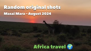 unedited real Masai mara safari videos for honest experience seekers [upl. by Aisetra]