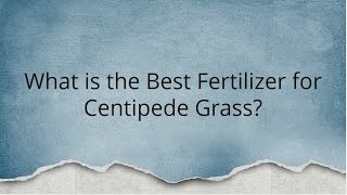 What is the Best Fertilizer for Centipede Grass [upl. by Tebasile398]