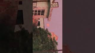 Moon in the morning viralvideo shortvideos peace morning [upl. by Nehcterg678]