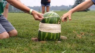 Watermelon400 rubber bands [upl. by Aidam935]