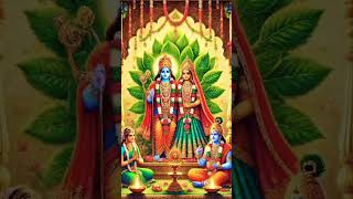 love Shri Tulsi Vivah god vishn vivah [upl. by Gefen]