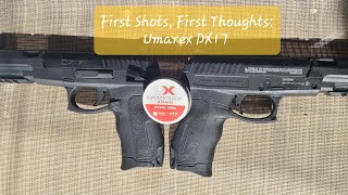 First Shots First Thoughts Umarex DX17 [upl. by Wales745]