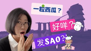 Singaporean Chinese vs China Chinese  新加坡华文 VS 大陆中文  Can Singaporeans Speak Chinese [upl. by Meara]