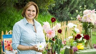 Shirley Bovshows Tips for Growing Dahlias [upl. by Wengert]