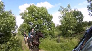 Friendly Horse Riders in Gloucestershire [upl. by Rodolphe]