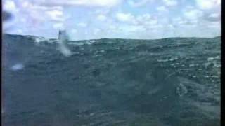 Flinders Island Sea kayaking Tasmania [upl. by Portland745]