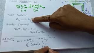 Concentration cells  Nernst equation  Electrochemistry  Class 12 Chemistry [upl. by Tracey267]