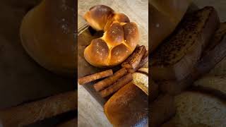 Fresh baked bread 😆😂 look like baked bread singalong puppies cute funny short ytshorts [upl. by Strong]