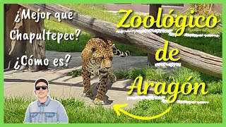 TIENES Que SABER Esto Para VISITAR el ZOOLÓGICO de ARAGÓN 🐆  CDMX  GUÍA  LOLO [upl. by Ane221]