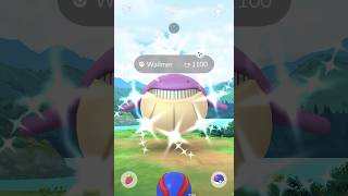 Wailmer Shiny Weather Boosted Pokémon GO [upl. by Milissa]